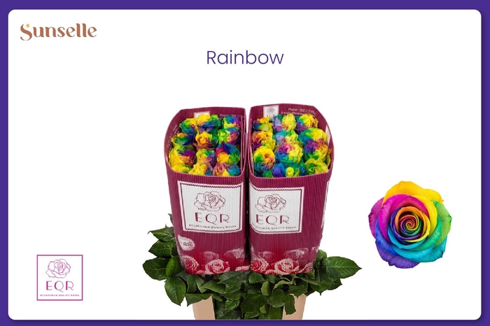 <h4>R GR OV KLB RAINBOW H%</h4>