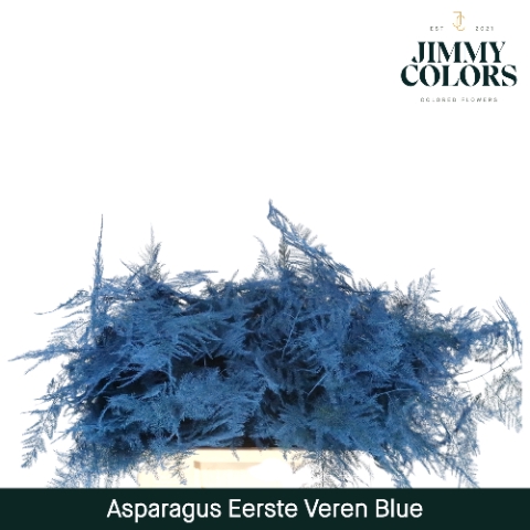 <h4>Asparagus 1ste Blauw</h4>