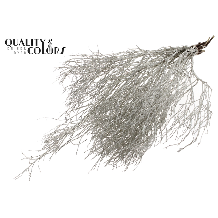 <h4>Huckelberry per bunch Platina</h4>