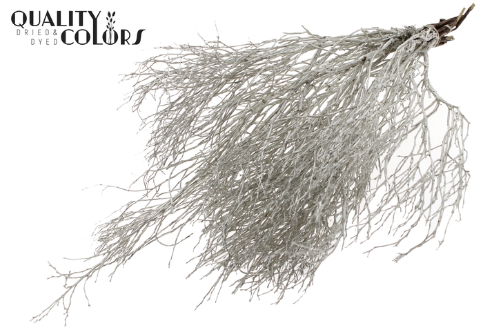 Huckelberry per bunch Platina