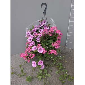 PERKPL GEM IN POT
