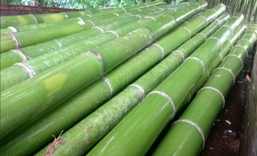 <h4>BAMBOE PAAL 200CM</h4>