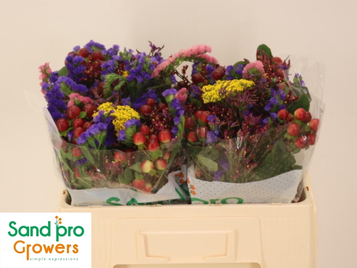 <h4>GEM ZOMERBOEKET</h4>