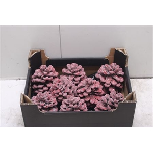F-pinea Glitters Kerst Rood
