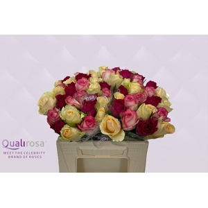 R Gr Mix Pretty Pink