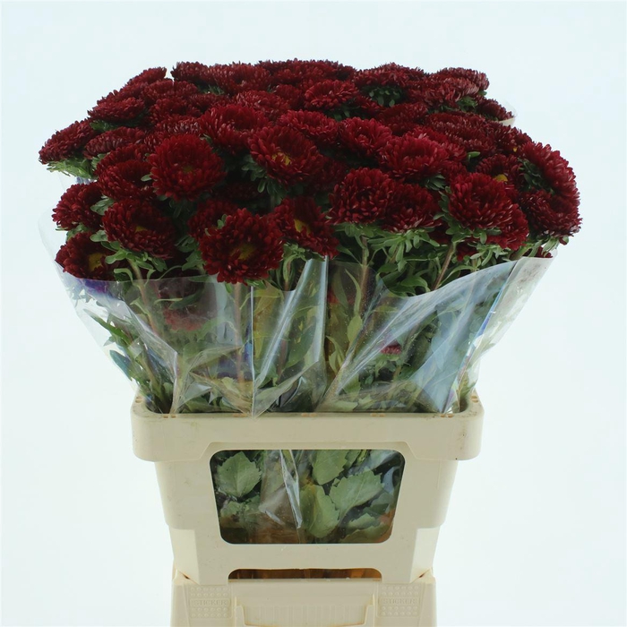 <h4>Callis Mats Red Super</h4>