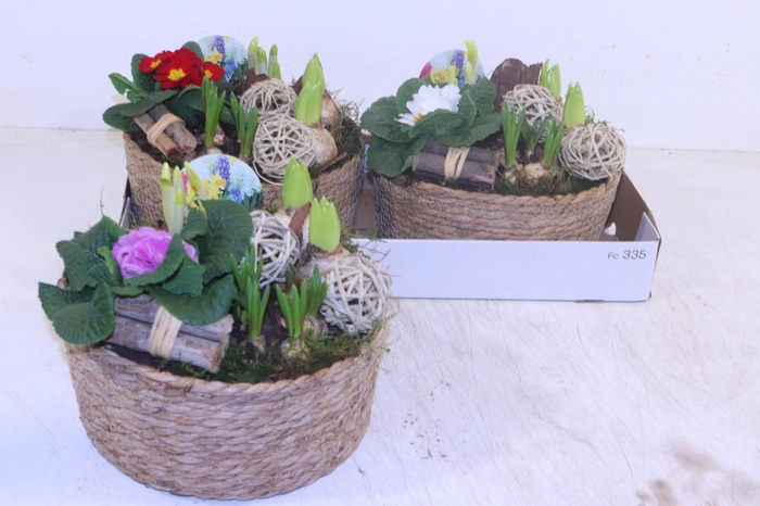 <h4>ARR TUINPLANTEN</h4>