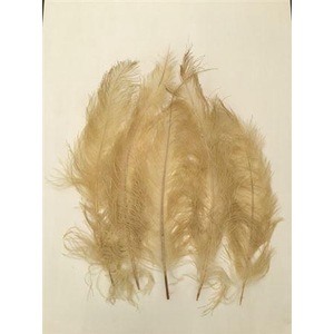 Feather Ostrich 5 Pcs L55