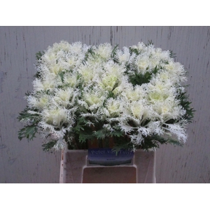 BRASS CRANE FEATHER SNOW