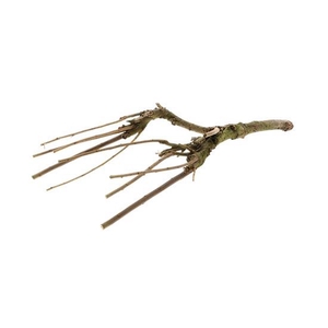 Branch Sering Mossed L60/70