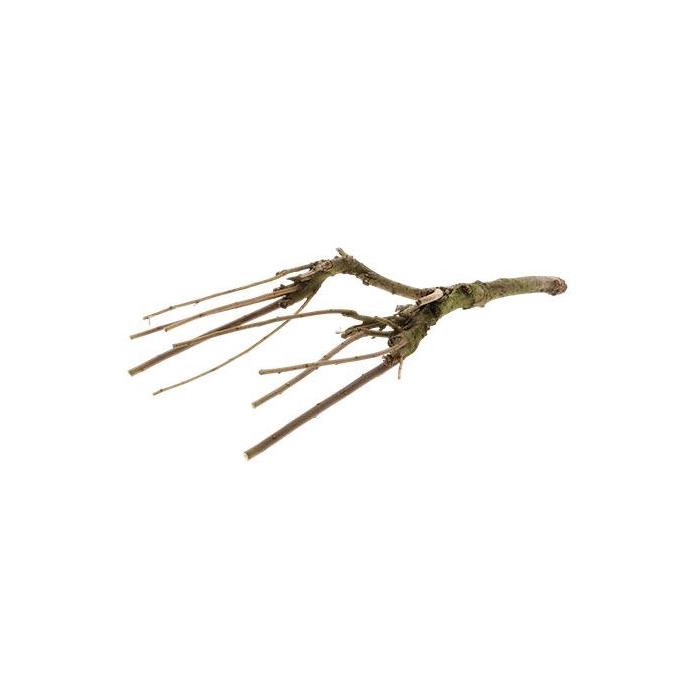 <h4>Branch Sering Mossed L60/70</h4>