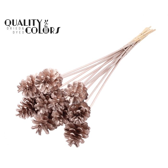 <h4>Pine cone 5-7cm on stem Champagne</h4>