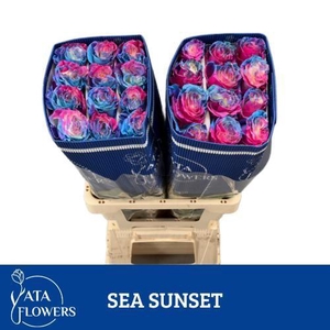 R Gr Klb H% Sea Sunset