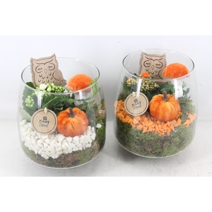 arr2 PL - Glas vaas Mark - oranje/wit