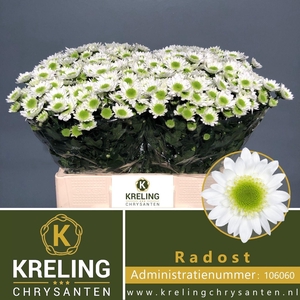 CHR TR RADOST 40 GR.