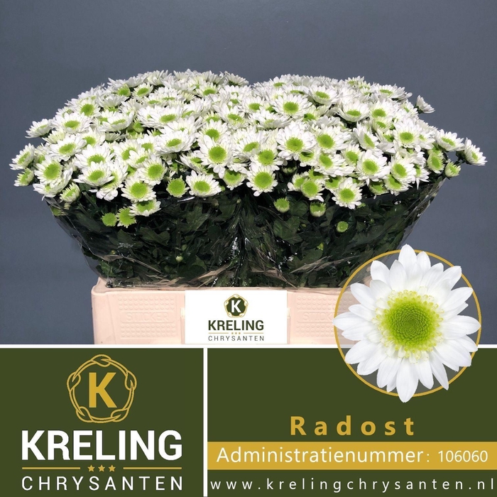 <h4>CHR TR RADOST 40 GR.</h4>