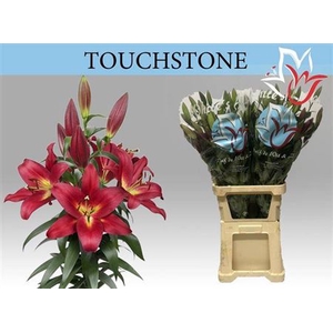 Li Ot Touchstone