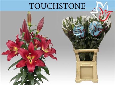 <h4>Li Ot Touchstone</h4>