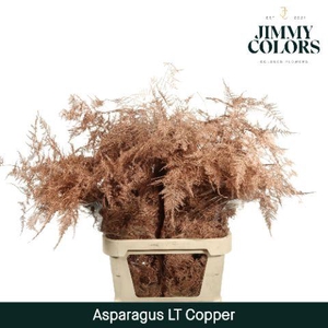 Aspa Lang Getopt Copper