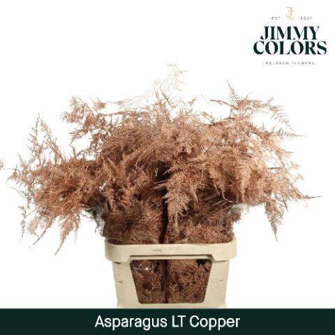 <h4>Aspa Lang Getopt Copper</h4>