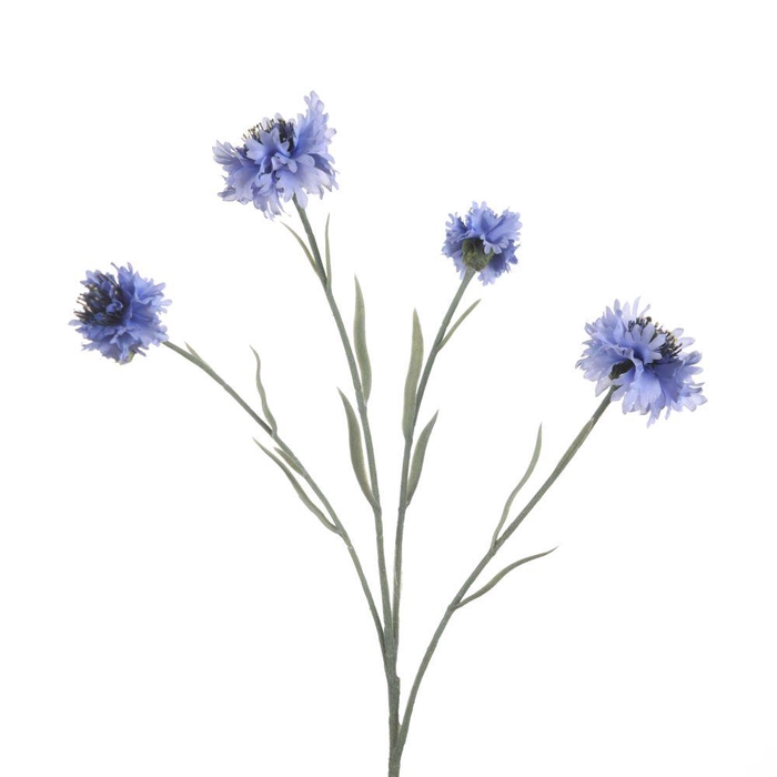 <h4>AF Centaurea x4 L59cm Blue</h4>