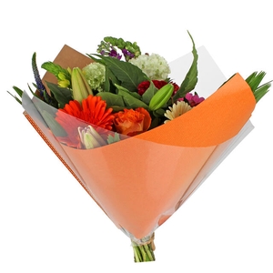 Hoes 35x35cm Oblique OPP35/80gr bruin kraft oranje 250/doos