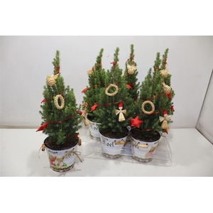 Kerstboom Versierd In Zinken Emmer