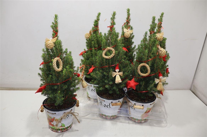 <h4>Kerstboom Versierd In Zinken Emmer</h4>