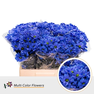 Chr T Kennedy Blauw Donker