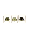 Polly Summer Green Mix Metal Rack Square Glass Ass 11x11x13