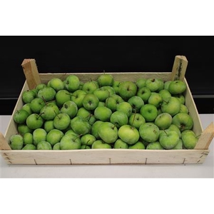 F Appel Groen 5kg