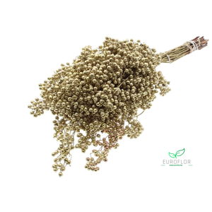 PEPPERBERRIES GOLD