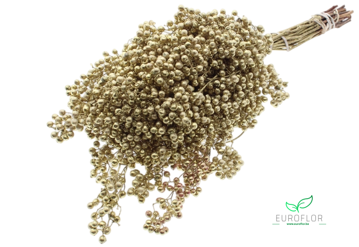 PEPPERBERRIES GOLD