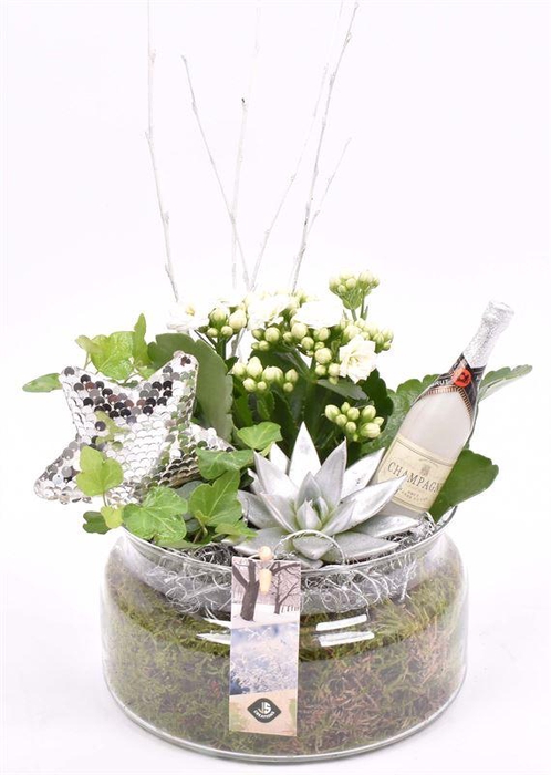 <h4>Glas schaal met hals 17 cm</h4>