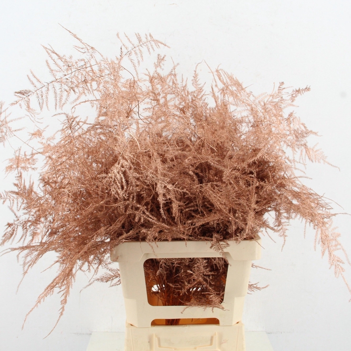 <h4>ASP OV KLB H%</h4>