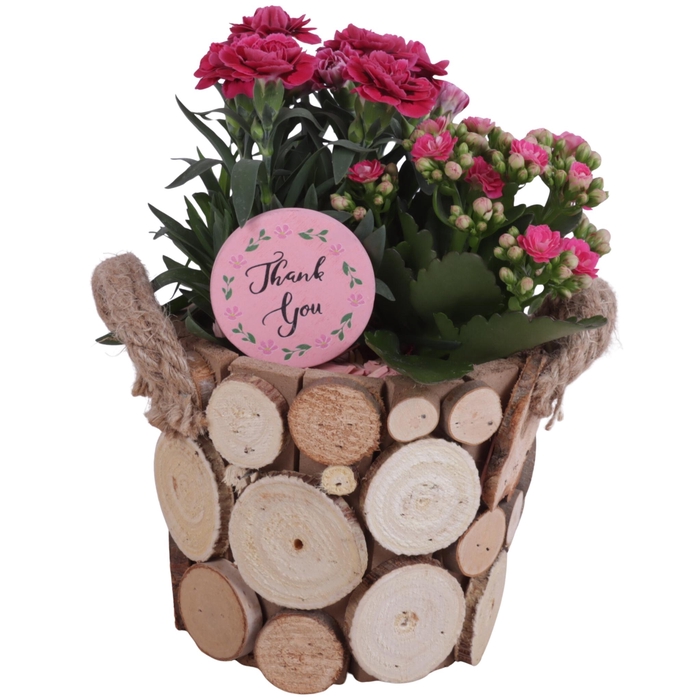 <h4>Mothersday Arr. Outdoor Wooden Pot Round Tree Chucks Ø16cm 2PP</h4>