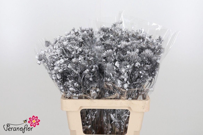 <h4>SNIJBLOEMEN KLB H%</h4>