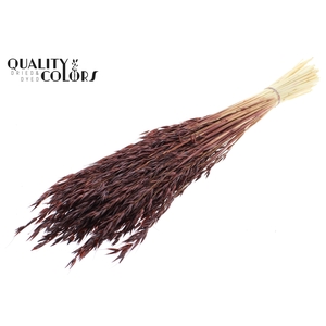 Avena per bunch Bleached Brown