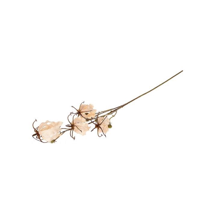 <h4>Branch Gloriosa L87</h4>