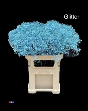 <h4>Gyps Million Star Light Blue + Glit Bio</h4>