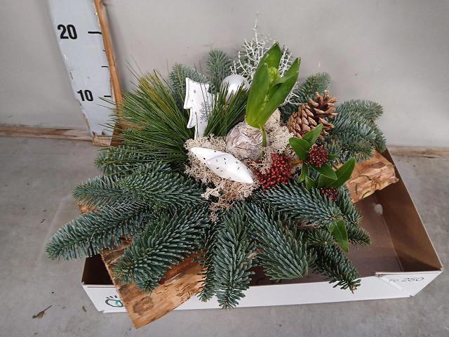 <h4>ARR KERST H%</h4>