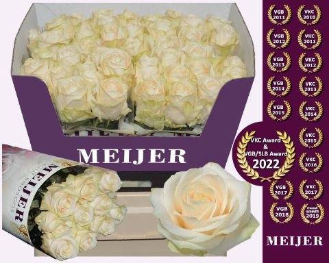<h4>R Gr Four Seasons+ Meijer</h4>