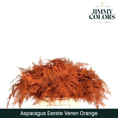 <h4>Aspa 1ste veren Orange</h4>