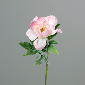 Af Peony L60cm L.pink