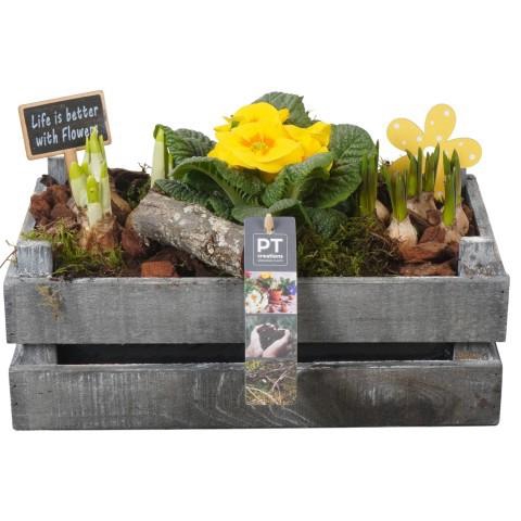 <h4>PTBM3892 Arrangement Flower Bulbs Mix in houten rechthoek pot</h4>