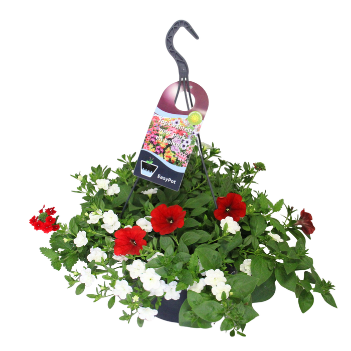<h4>'Weekaanbieding; Hangpotten 27 waterreservoir Mix 10 Rood/witte mix</h4>