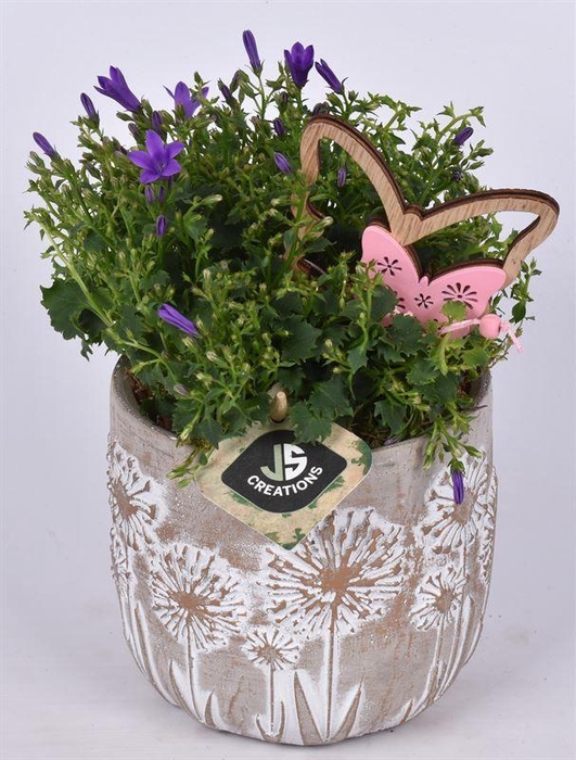 <h4>Cement pot bloemdecor 11,5cm</h4>