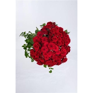 Tr Vermillion Granite