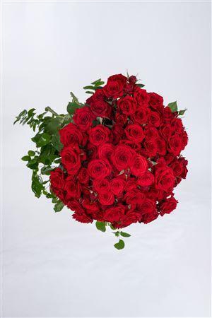 <h4>Tr Vermillion Granite</h4>