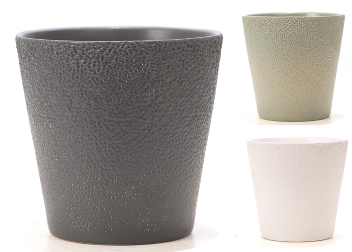 <h4>P&PURE Ruby ceramics: per volle deen (3 grijs/1 wit/2 groen)</h4>